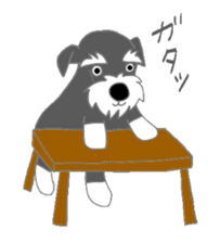 Schnauzers, sometimes look like a grampa sticker #7066568