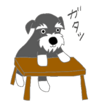 Schnauzers, sometimes look like a grampa sticker #7066568