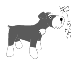 Schnauzers, sometimes look like a grampa sticker #7066569