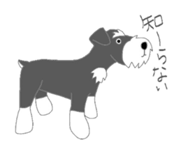 Schnauzers, sometimes look like a grampa sticker #7066569