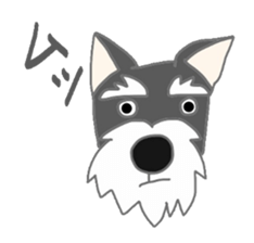 Schnauzers, sometimes look like a grampa sticker #7066570