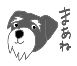 Schnauzers, sometimes look like a grampa sticker #7066573