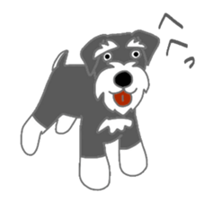 Schnauzers, sometimes look like a grampa sticker #7066574