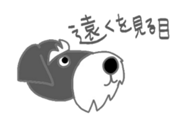 Schnauzers, sometimes look like a grampa sticker #7066576