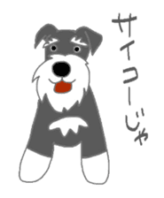 Schnauzers, sometimes look like a grampa sticker #7066579