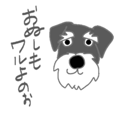 Schnauzers, sometimes look like a grampa sticker #7066580