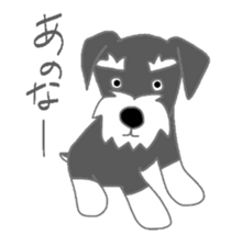 Schnauzers, sometimes look like a grampa sticker #7066582