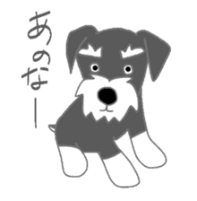 Schnauzers, sometimes look like a grampa sticker #7066582