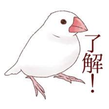 The paddybird which is loved sticker #7068027