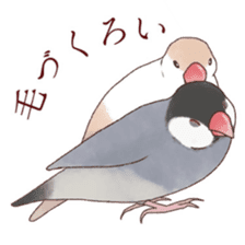 The paddybird which is loved sticker #7068032