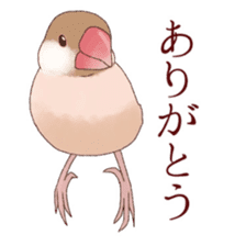 The paddybird which is loved sticker #7068034