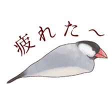 The paddybird which is loved sticker #7068037