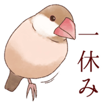 The paddybird which is loved sticker #7068044