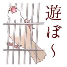The paddybird which is loved sticker #7068054