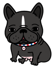 French bulldog Gomaco and Hana English sticker #7068064