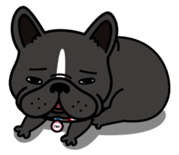 French bulldog Gomaco and Hana English sticker #7068065