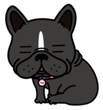 French bulldog Gomaco and Hana English sticker #7068069