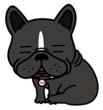 French bulldog Gomaco and Hana English sticker #7068069
