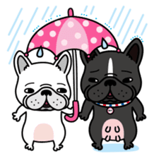 French bulldog Gomaco and Hana English sticker #7068079