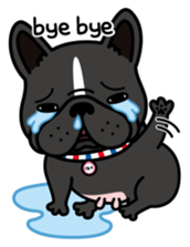 French bulldog Gomaco and Hana English sticker #7068080