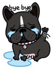 French bulldog Gomaco and Hana English sticker #7068080