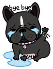 French bulldog Gomaco and Hana English sticker #7068080