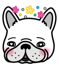 French bulldog Gomaco and Hana English sticker #7068088