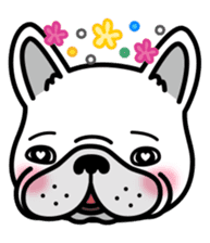 French bulldog Gomaco and Hana English sticker #7068088