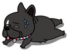 French bulldog Gomaco and Hana English sticker #7068094