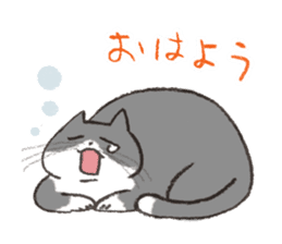 kichijoji cat fes official Sticker sticker #7069783