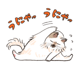 kichijoji cat fes official Sticker sticker #7069789
