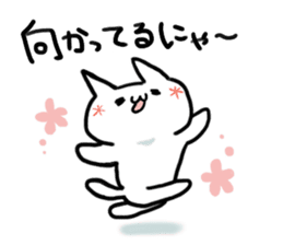 Expressive everyday system cat sticker #7072955