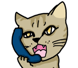 Duckie and Co English version sticker #7076435