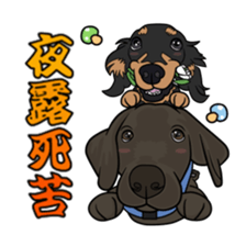 mushroom & dogs. sticker #7078019