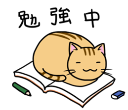 Cat life3 sticker #7081764