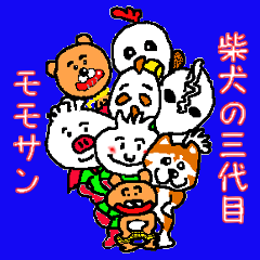 Shiba inu MOMO chan the third as well! 2