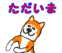 Shiba inu MOMO chan the third as well! 2 sticker #7082522
