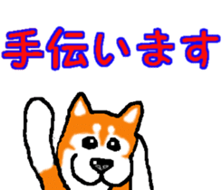 Shiba inu MOMO chan the third as well! 2 sticker #7082526