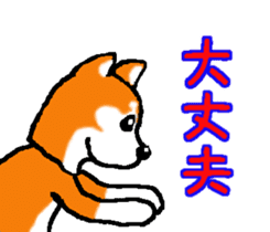 Shiba inu MOMO chan the third as well! 2 sticker #7082527