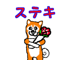 Shiba inu MOMO chan the third as well! 2 sticker #7082528