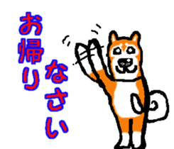 Shiba inu MOMO chan the third as well! 2 sticker #7082531