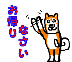 Shiba inu MOMO chan the third as well! 2 sticker #7082531