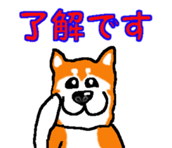 Shiba inu MOMO chan the third as well! 2 sticker #7082534