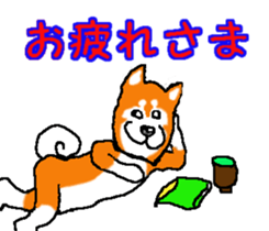 Shiba inu MOMO chan the third as well! 2 sticker #7082535