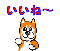 Shiba inu MOMO chan the third as well! 2 sticker #7082536