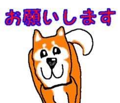 Shiba inu MOMO chan the third as well! 2 sticker #7082538