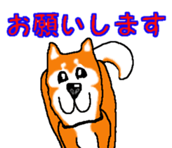 Shiba inu MOMO chan the third as well! 2 sticker #7082538