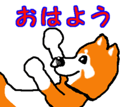 Shiba inu MOMO chan the third as well! 2 sticker #7082540