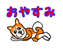 Shiba inu MOMO chan the third as well! 2 sticker #7082541