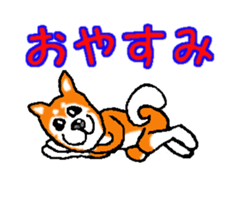 Shiba inu MOMO chan the third as well! 2 sticker #7082541
